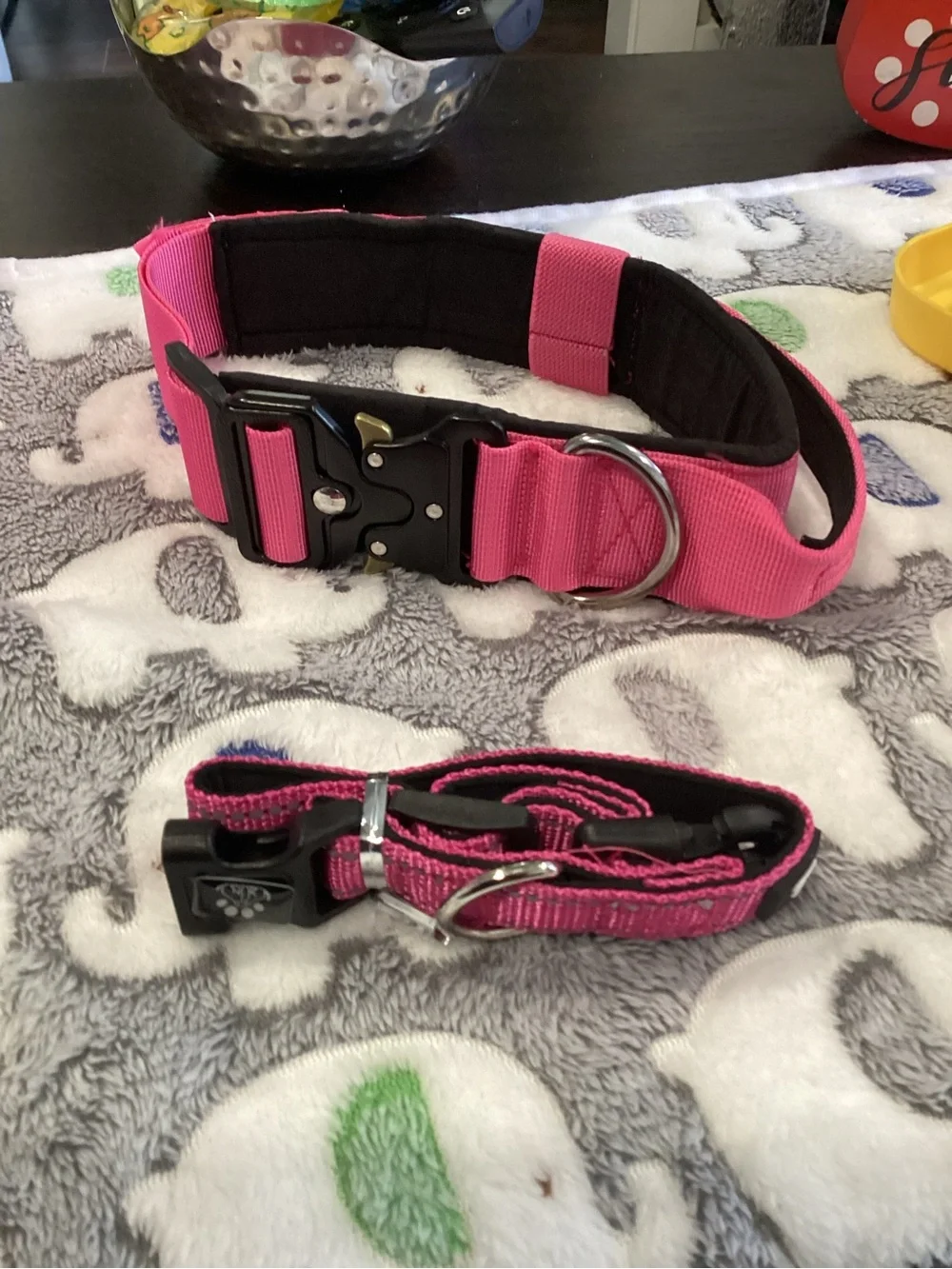 NWOT - Hot Pink Water & Food Btle w/Blk Strap, Leash, Car Restraint, & Collar!!!
